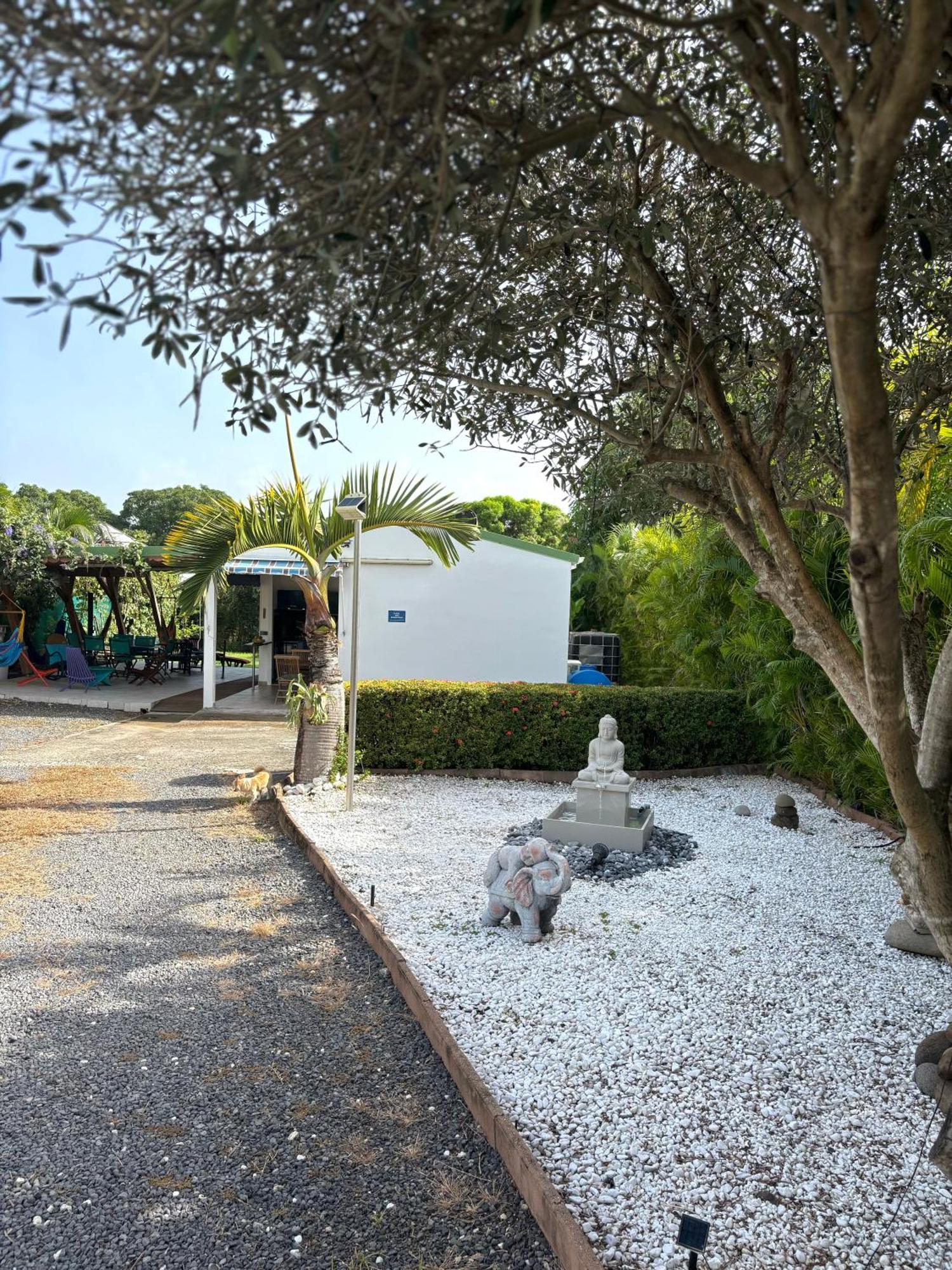 Gites Les Bienheureux - Piscine, Hamak, Terrasse Anse-Bertrand Extérieur photo
